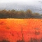 fire field