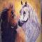 Grace and Glory