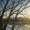 River at Sunset