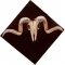 ram skull