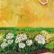 FIORI IN STAGIONE