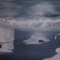 Arctic Warmth