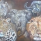 big 5
