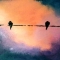 3 little birds