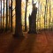 Autumn Trails #2