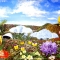 The eden project
