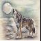 Wolf and the moon