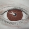 The Eye