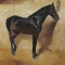Eugene Delacroix - Study of a Brown-Black Horse Te