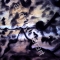 bigger bang darker matter