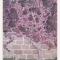 Espalier