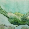 Sea Turtle 01