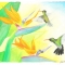 Hummingbirds of Paradise