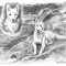 Dog By Lake