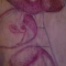 Orchid