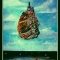 HOMMAGE A MAGRITTE