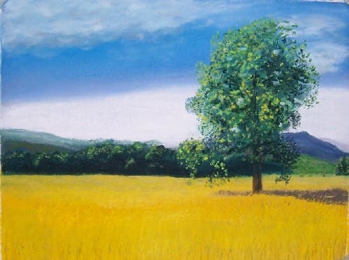 Green Tree On Yellow Field - 