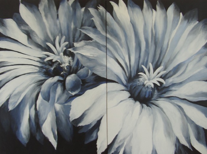 Exotic Flowers - 