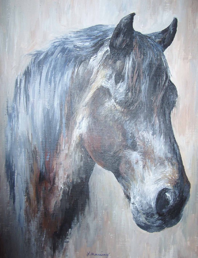 The Horse - 