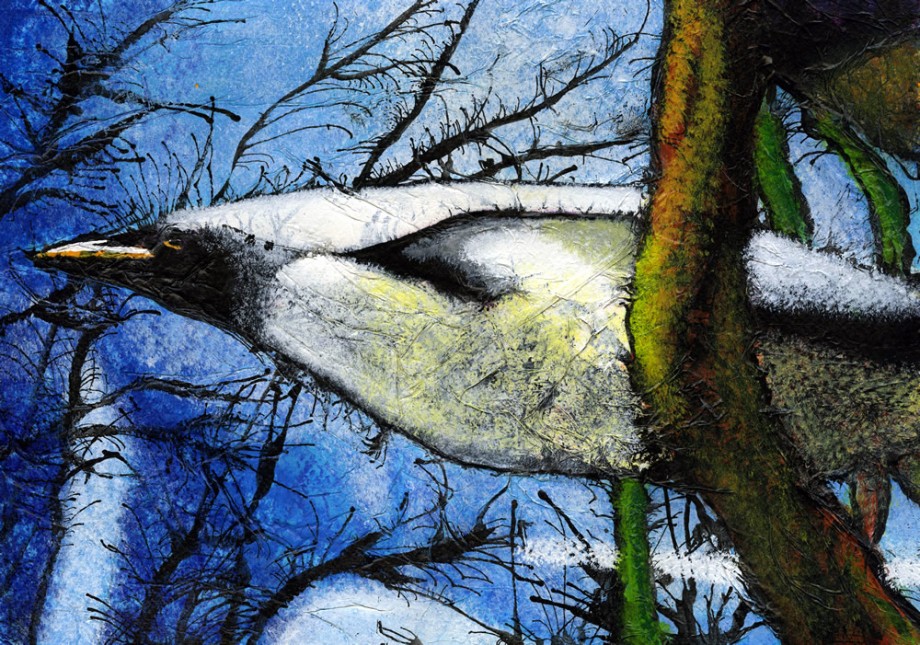 Penguin In Flight - 
