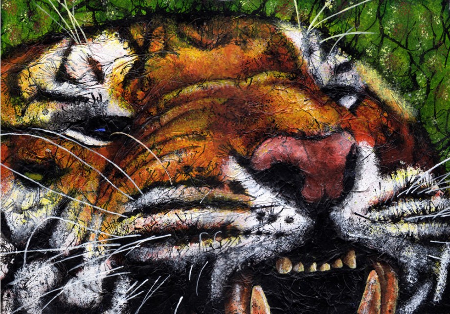 Snarling Tiger - 