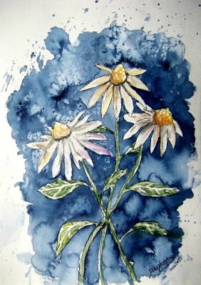 3 Daisies - 