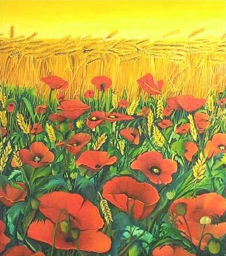 Field Poppies - 