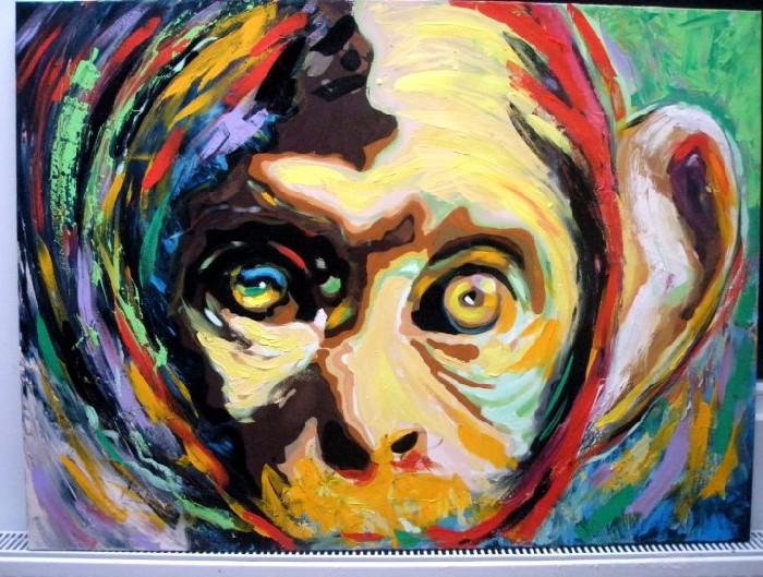 Monkey - 