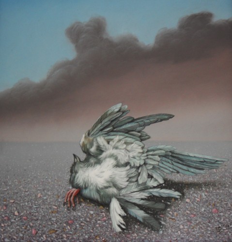 Dead Bird,seagull - 
