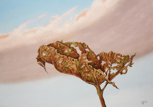Dead Leaf - 
