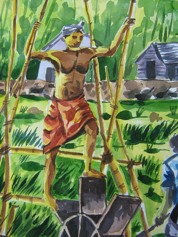 FARMER - 