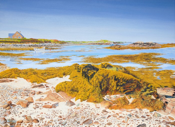 Stone And Kelp Shore - 