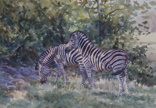Dappled Stripes - 