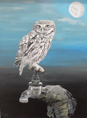 Little Owl On Tap - 