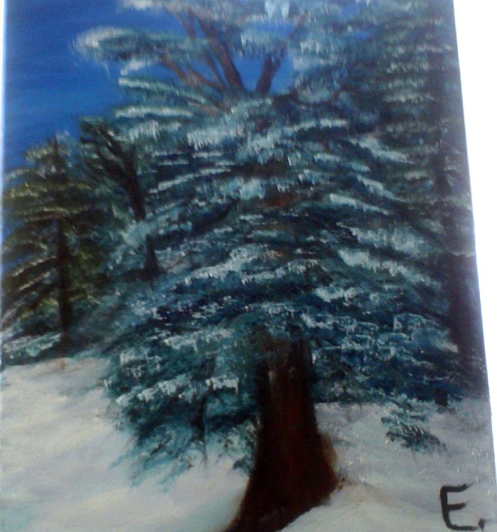 Wintry Delight - 