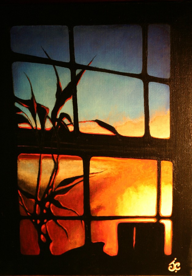 Kitchen Window - 