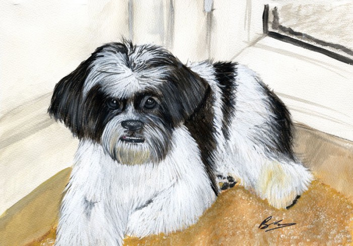 Commissioned Painting Of Blackie The Dog - 