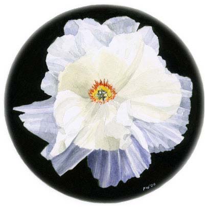 Peony: Renkaku - 