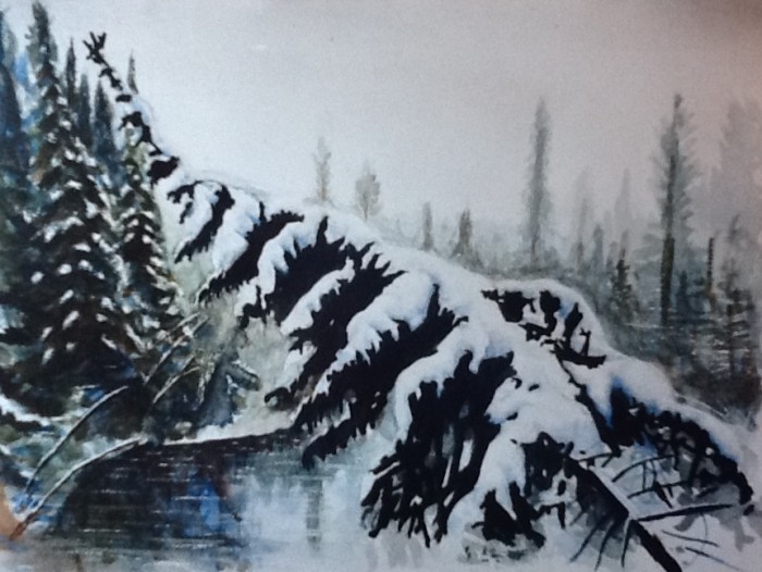 Fallen Tree In Algonquin Park Canada - 