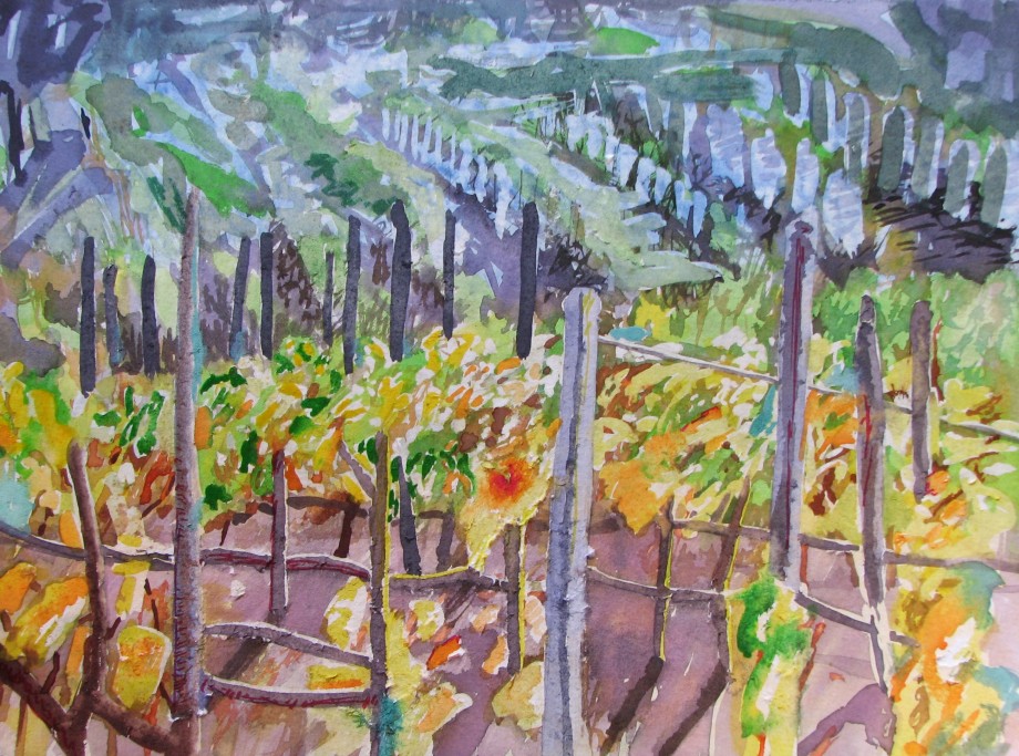 VINEYARD III - 