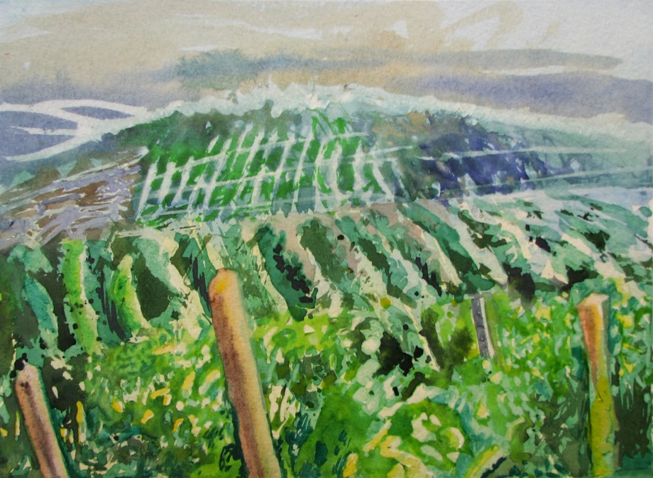 VINEYARD I - 