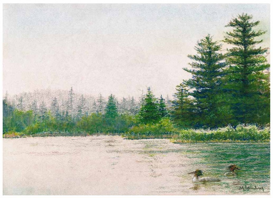 Ducks On The Lake - 