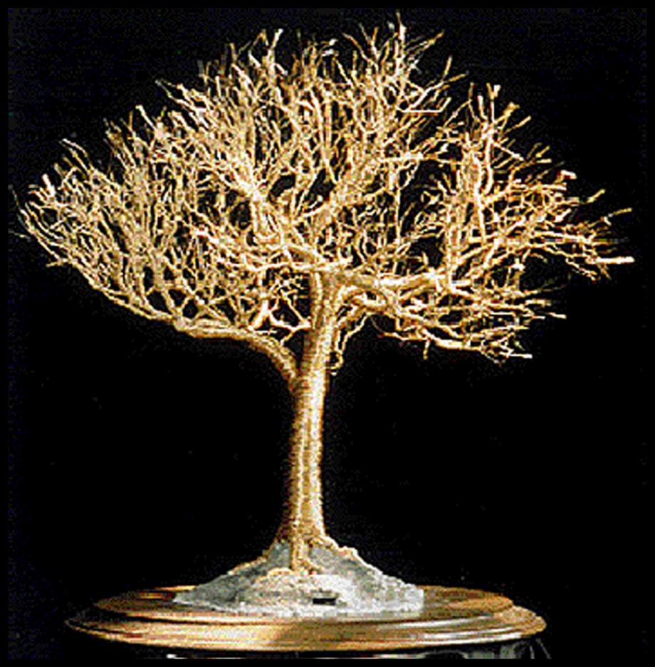 GOLDEN ELM - Wire Tree Sculpture - 