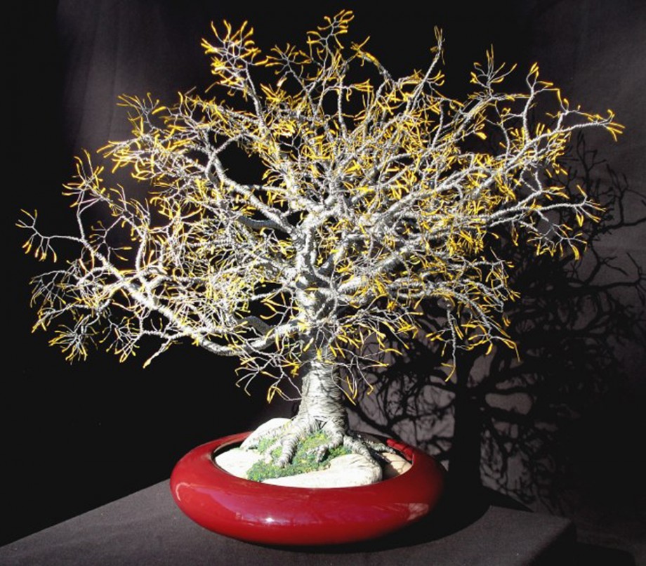 YELLOW OAK - Wire Tree Sculpture - 