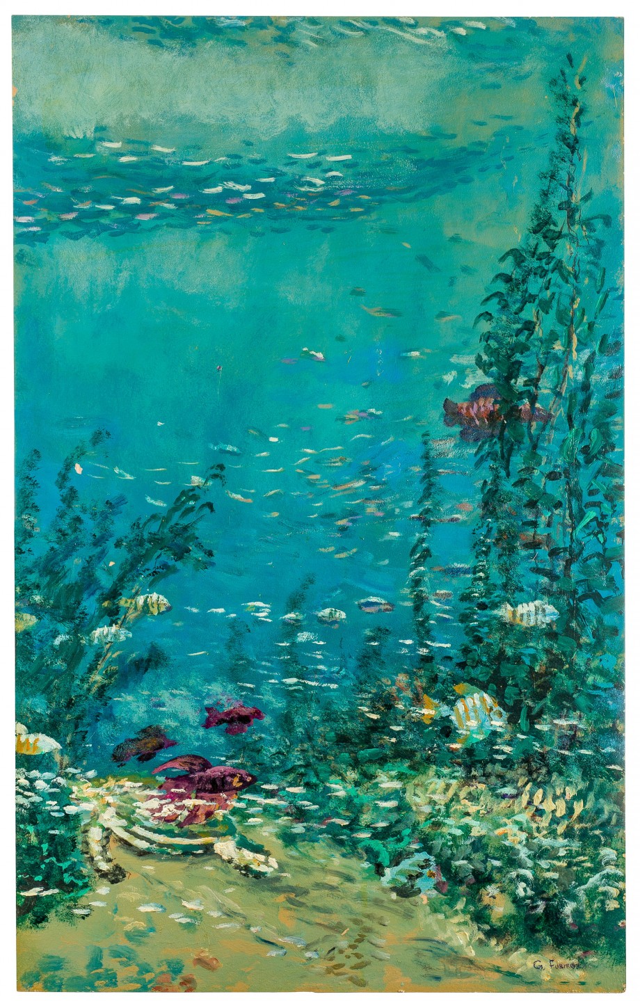 Marine Life - 
