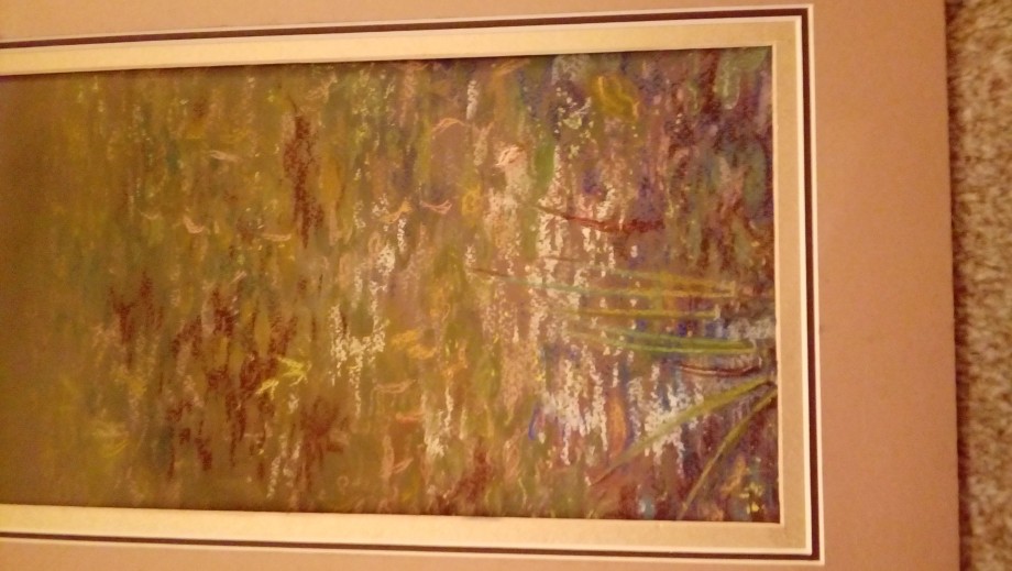 Lily Pond - 