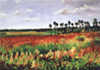 Fall - Palm Island Marsh - 