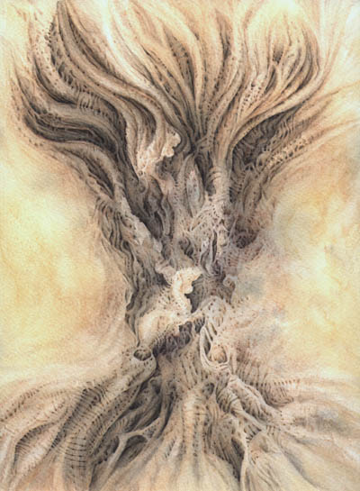 Tree Anatomy - 