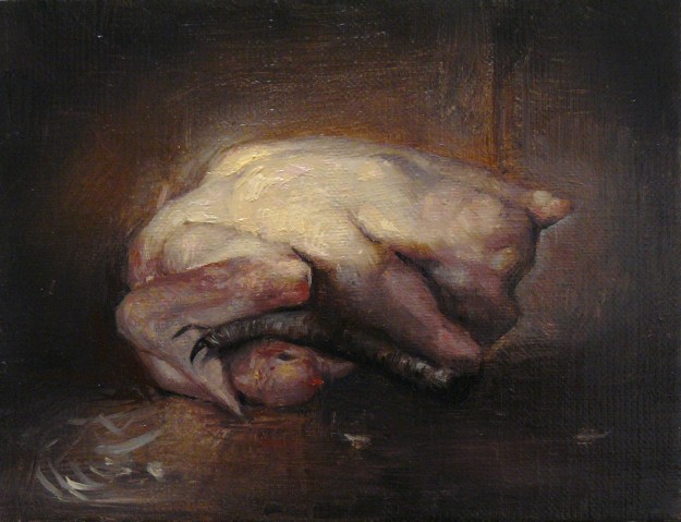 Hen - 