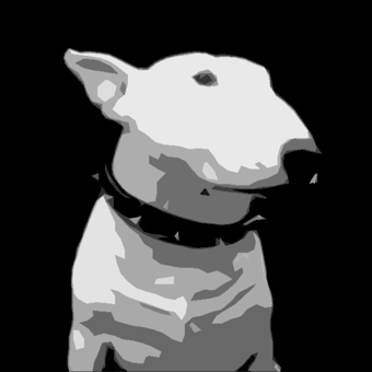 English Bull Terrier Dog - 